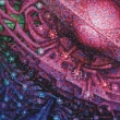 Kvetouc� galaxie - detail 1