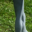 Tane�n�k detail 1
