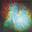 KRAB� mlhovina - acryl na pl�tn�; 80x80 cm;