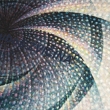 Vnice- detail 2