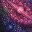 Kvetouc� galaxie - detail 3
